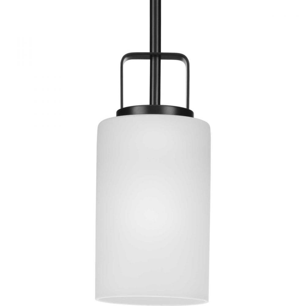 PROG P500341-31M