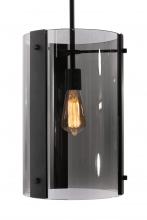  DNAP10MBBK - Dana 10'' Pendant Med Base 120V BK