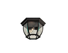  71174-66 - 3 Light Outdoor Flush Mount