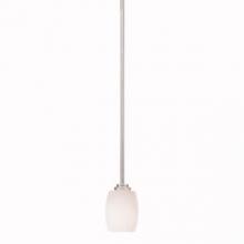  3497NI - Mini Pendant 1Lt