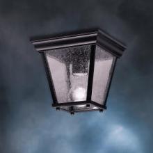  9859BK - Outdoor Ceiling 1Lt