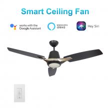  VWGS-523F-L12-B2-1 - Eunoia 52-inch Smart Ceiling Fan with wall control, Light Kit Included, Works with Google Assistant,