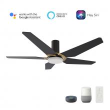  VS485B-L22-B2-1G-FM - Woodrow 48-inch Smart Ceiling Fan with Remote, Light Kit Included, Works with Google Assistant, Amaz