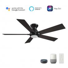  VS485J1-L11-BG-1-FM - Ascender 48-inch Smart Ceiling Fan with Remote, Light Kit Included, Works with Google Assistant, Ama