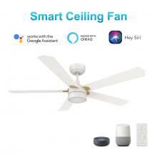  VS525E2-L11-W1-1G - Tarrasa 52'' Smart Ceiling Fan with Remote, Light Kit Included?Works with Google Assistant a