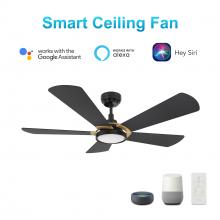  VS565B3-L22-B2-1G - Winston 56-inch Smart Ceiling Fan with Remote, Light Kit Included, Works with Google Assistant, Amaz