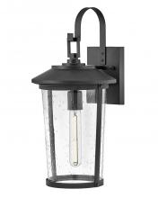  82024BK - Medium Wall Mount Lantern