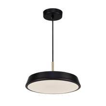  AC6900BK - Lexi Collection 1-Light 12" Pendant Black