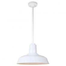  H-QSN15114-SA-93/QSN24ST3-93/QSNHSC-93 - 14" Ceiling Stem Light