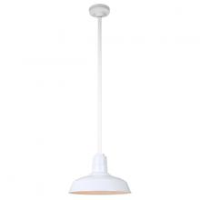  H-QSN15114-SA-93/QSN36ST3-93/QSNHSC-93 - 14" Ceiling Stem Light