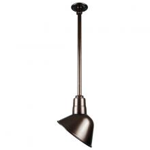  H-QSN18110-SA-145/QSN24ST3-145/QSNHDSMC-145 - 10" Ceiling Stem Light