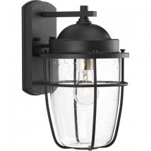  P560066-031 - Holcombe Medium Wall Lantern