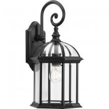  P560323-031 - Dillard Collection One-Light Traditional Textured Black Clear Glass Outdoor Wall Lantern