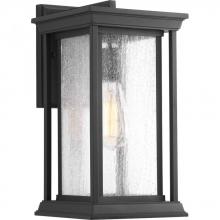  P5610-31 - Endicott Collection One-Light Medium Wall Lantern