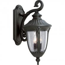  P5822-31 - Meridian Collection Two-Light Medium Wall Lantern