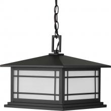  P550055-020 - P550055-020 1-100WMED HANGING LANTERN