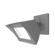  WP-LED335-30-AGH - Endurance™ Flood Light