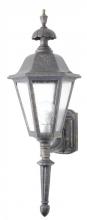  1254 - Avanti 1200 Series Wall Model 1254 Medium Outdoor Wall Lantern