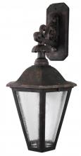  12704 - Avanti 1200 Series Wall Model 12704 Large Outdoor Wall Lantern