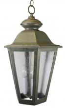  1291 - Avanti 1200 Series Hanging Model 1291 Extra Large Outdoor Wall Lantern