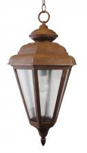  1571 - Avanti 1500 Series Hanging Model 1571 Large Outdoor Wall Lantern