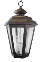  1591 - Avanti 1500 Series Hanging Model 1591 Extra Large Outdoor Wall Lantern