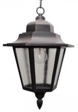  1651 - Avanti 1600 Series Hanging Model 1651 Medium Outdoor Wall Lantern