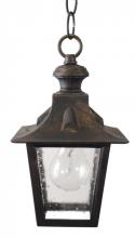  1731 - Avanti 1700 Series Hanging Model 1731 Small Outdoor Wall Lantern