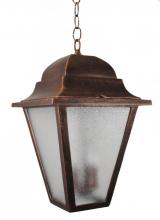  1791 - Avanti 1700 Series Hanging Model 1791 Large Outdoor Wall Lantern