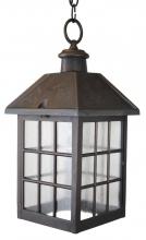  2051 - Avanti 2000 Series Hanging Model 2051 Medium Outdoor Wall Lantern