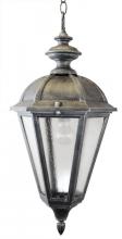  2471 - Avanti 2400 Series Hanging Model 2471 Large Outdoor Wall Lantern