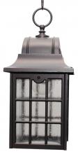  631 - Avanti 600 Series Hanging Model 631 Small Outdoor Wall Lantern