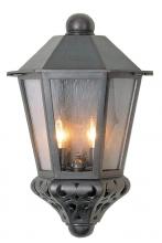  TC38915 - Tuscany Collection TC3800 Series Pocket Lamp Model TC38915 Large Outdoor Wall Lantern