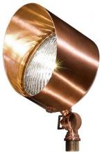  LV30-CP - SOLID BRASS SPOT LIGHT 35W PAR36 12V