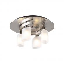  648 SN - 4 Light Ceiling Light Wyndham Collection 648 SN