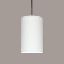  P205-A17-BCC-1LEDE26 - Delos Pendant: Jade (Black Cord & Canopy)