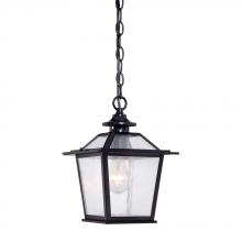  9706BK - Salem Collection Hanging 1-Light Outdoor Matte Black Light Fixture