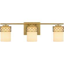  TEN8624AB - Tenley Bath Light