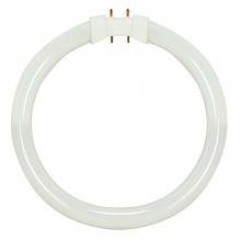  S8155 - 22 Watt; T5; Circline Fluorescent; 3000K Warm White; 82 CRI; 2GX13 (4-Pin) base