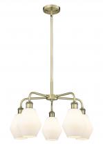  516-5CR-AB-G651-6 - Cindyrella - 5 Light - 24 inch - Antique Brass - Chandelier