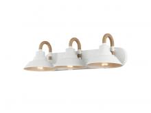  3318-BA3 NWT - Journey 3-Light Vanity Light in Natural White