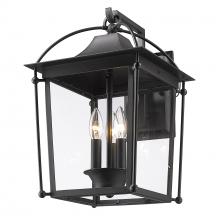  4305-OWL NB-CLR - Brigham Outdoor Large Wall Sconce in Natural Black with Clear Glass Shade