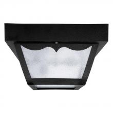  9239BK - 2 Light Outdoor Flush Mount