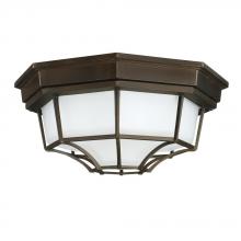  9800OB - 2 Light Outdoor Flush Mount