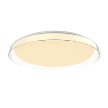  FM43121-CL - Hampton 21-in Clear LED Flush Mount