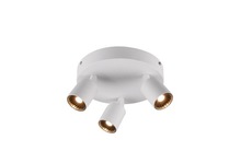  829230301 - Cayman - Ceiling Mount