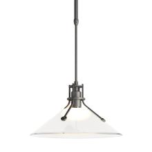  363009-SKT-LONG-20-FD0686 - Henry Outdoor Pendant with Glass Medium