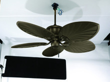  CM-ORB - 42" Countess Fan AC Motor 5 Blade