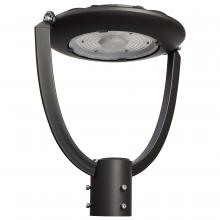  65/891 - 55 Watt Adjustable Post Top LED; CCT Selectable; 120-347 Volt