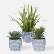  60192 - Uttermost Puebla Greenery In Blue & White Pots, S/3